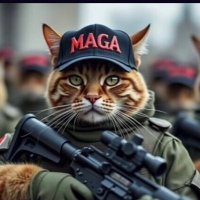 Bad Monkey 5 (@ml808kona) 's Twitter Profile