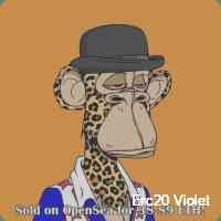 ercc20violet's profile picture. nft horse racing metaverse based on blockchain and powered by $derc ⚡️