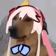 micohael hunt wan wan two two (@michaelhunt1122) 's Twitter Profile Photo micohael hunt wan wan two two (@michaelhunt1122) 's Twitter Profile Photo