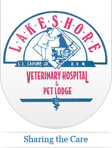 LakeshoreVet's profile picture. Are you looking for a veterinary hospital that is like a second home for your pets? If so, you should call the Lakeshore Veterinary Hospital & Pet Lodge A.P.V.M