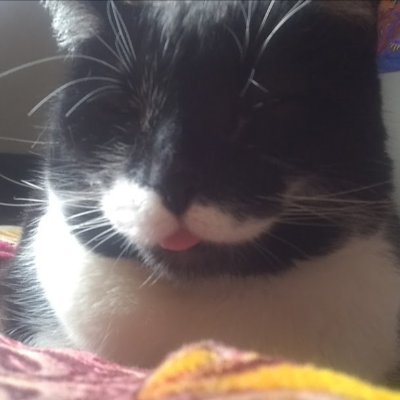 love type o negative, goth metal, tattoos. cats and most of all my family