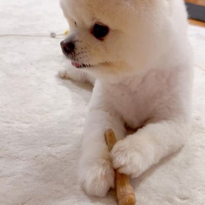 pnfmz54598992's profile picture. 努力不一定成功，但放棄了就永遠沒有機會。