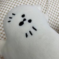 あてんこ🌷10m🌷 (@runrun_cat_s) 's Twitter Profile