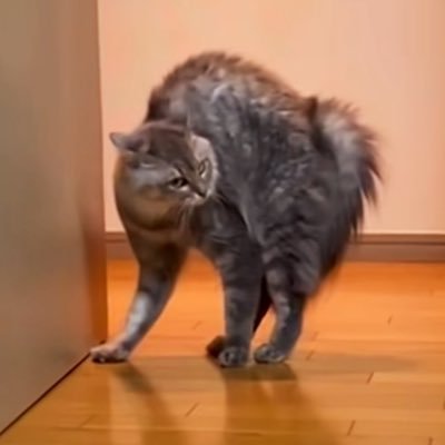 0sushiparty's profile picture. イカ耳になりたい。明鏡止水。自然と共に気楽な日々を。
