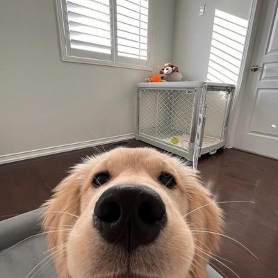 TChullasup's profile picture. 