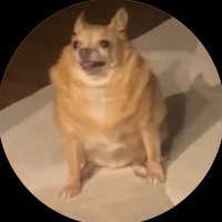 Ruru702 (@702latino) 's Twitter Profile Photo Ruru702 (@702latino) 's Twitter Profile Photo