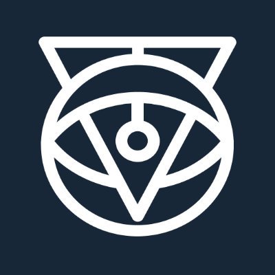 volantis_data's profile picture. AI Platform for everyone!