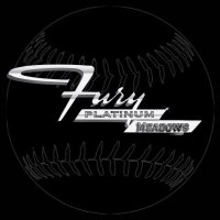 Fury Platinum Meadows (@furyplatinum11) 's Twitter Profile