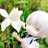 petit_violets