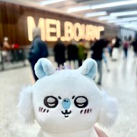 モモンガと暮らすin🇦🇺 (@enbuuuuu3) 's Twitter Profile