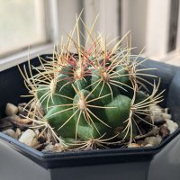 ヒロ (@it0vxspe0848944) 's Twitter Profile