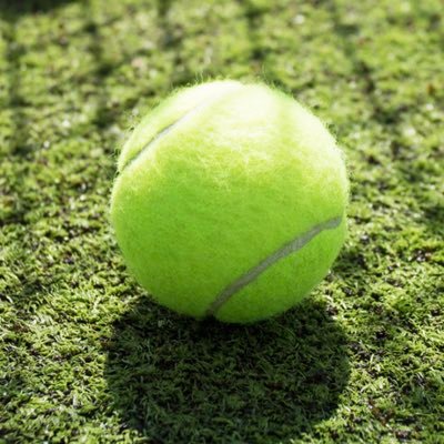 Michael87718416's profile picture. Just bouncing through this intentional disaster.