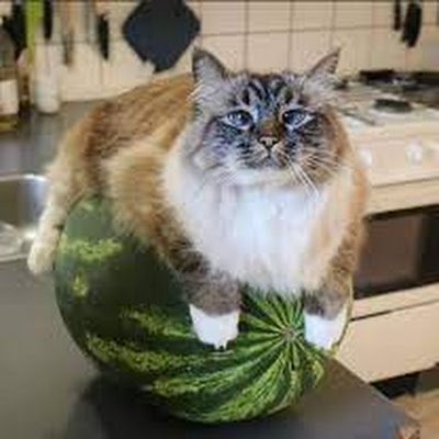 all_usions's profile picture. 