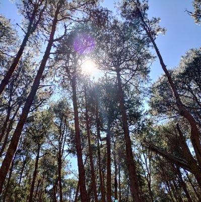 Haleema1602's profile picture. PT💪🏻