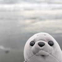 おみ (@jcuuwuoswzovrne) 's Twitter Profile