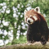 副業で安定した収入を得る方法を発信中。副業初心者に有益な情報をお届け。小規模ですがプレゼント企画も始めました♫ なくなり次第終了⇒ https://t.co/PVn0iY6tVe