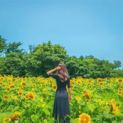 副業で収入を増やすコツを発信中。副業初心者に有益な情報を提供。ほんの僅かですがお金配り企画も実施中♬ 期間限定▶ https://t.co/Oia2y8AnnE