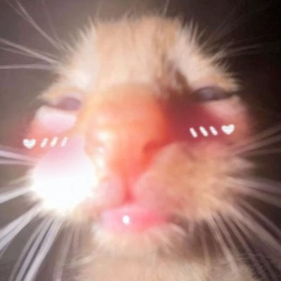 cs & tarkov player , sometimes vr
reality is poorly written
https://t.co/cmcURWJ5tX