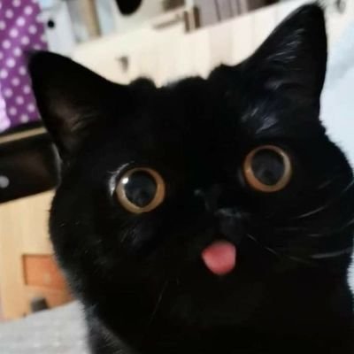 AceIsSleepyさんのプロフィール画像