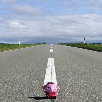ともぉ🛫🐘🥜😺さんのプロフィール画像