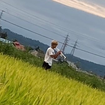 ganon_apex's profile picture. pso'24