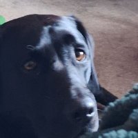 Stepic (@twitch_stepicfn) 's Twitter Profile Photo Stepic (@twitch_stepicfn) 's Twitter Profile Photo