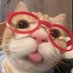 Yusuf (@yusuf2035694) Twitter profile photo Yusuf (@yusuf2035694) Twitter profile photo