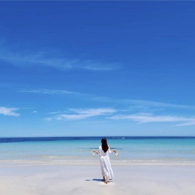 momoka485359572's profile picture. 副業で収入を増やすコツを紹介中。副業を始めてみたい人に役立つ情報をお届け。わずかですがプレゼント企画も始めました。 フォロワーさん優先→ https://t.co/msq3y2hog8