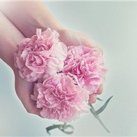 Yukiho (@yukiho879629) 's Twitter Profile