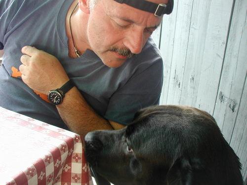 jfaith1's profile picture. Producer of the largest music festival on Long Island...Co-Founder of the LI Music Hall of Fame