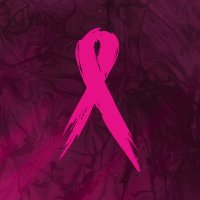 PlayPink (@playpinkgermany) 's Twitter Profile Photo PlayPink (@playpinkgermany) 's Twitter Profile Photo