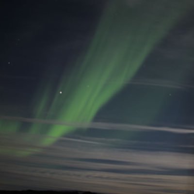 Wolf_EnjoyR's profile picture. 