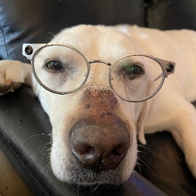 Teamdoc00's profile picture. 