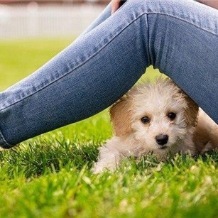 お金に恵まれる方法やおトクな情報など紹介中。自身がお金に苦労した経験から生活に苦しんでいる方を助けたいと思い、少額ですが現金配布企画を始めました♬ 支援中→ https://t.co/NYXlDp36Ex