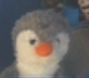 Piney Penguin Profile