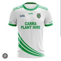 Sarsfields GAA (@sarsfieldsgaa) 's Twitter Profile