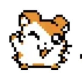 minchaegim67506's profile picture. 