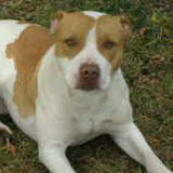 tweetybiirdz's profile picture. ❤️ CPR Instructor ❤️