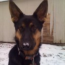 Daniel Hurst - @SNUFF42 - Twitter