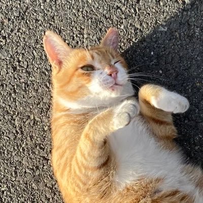 取引