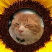 Kay Demure (@groovykay4401) 's Twitter Profile