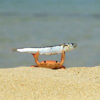 Lenzenyo (@baratalemdar) 's Twitter Profile Photo