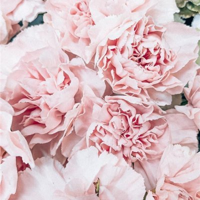 tomeko571854484's profile picture. 効率よくお金を増やす秘訣やお得な情報など紹介中。自分がお金に苦労したのでお金に困窮している人を助けたいと思い、小規模ですが現金配布企画を実施しております。 なくなり次第終了▷ https://t.co/NiIbJtDmZR