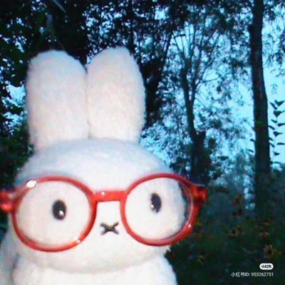 kinop1co's profile picture. 열정청년인기타코야끼 1호점