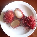 Pam Stark - @pstark728 - Twitter