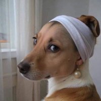 Yahoo17 (@17dm93) 's Twitter Profile Photo