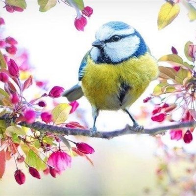 お金を引き寄せる秘訣や副業情報など共有中。自分がお金に苦労した経験から生活に困っている方の力になれればと思い、小規模ですがお金配り企画をしております! フォロワーさん優先⇒ https://t.co/DFZBh8mZPy