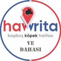 havvrita (@havvrita) 's Twitter Profile