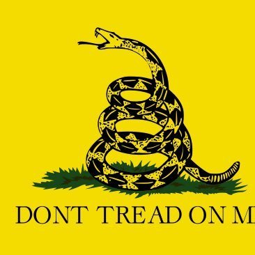 LusSant33304222's profile picture. 