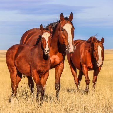 kfreimark's profile picture. 